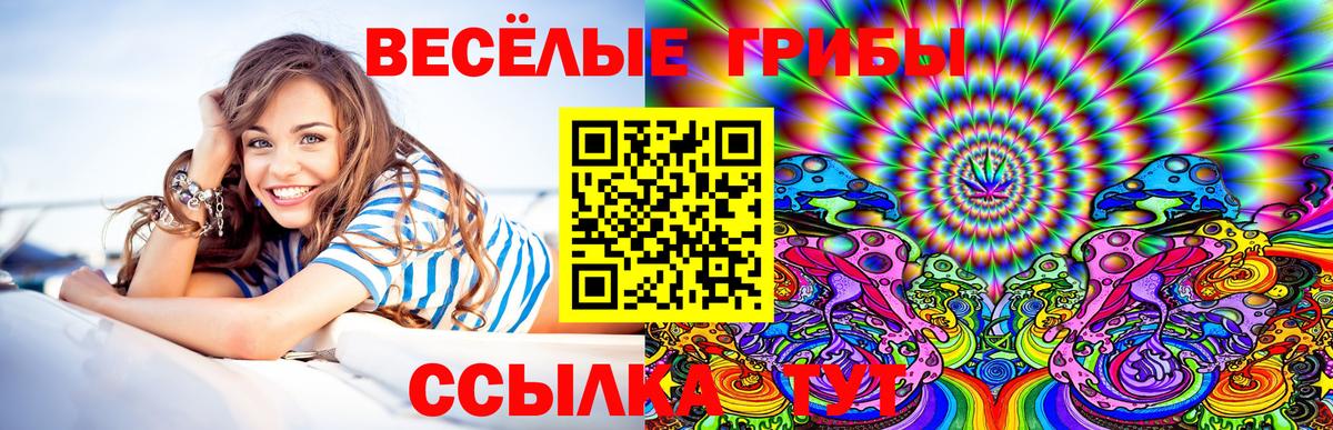 Псилоцибиновые грибы мицелий  Галлюциногенные грибы прущие грибы  как найти   Вход с VPN  Кинель 